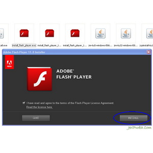 Free download flash player plugin